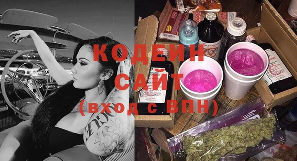 прущие грибы Каменногорск