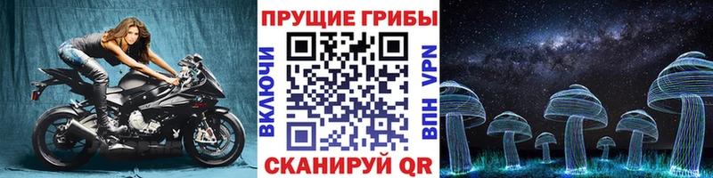 где найти   omg рабочий сайт  Псилоцибиновые грибы Magic Shrooms  Курчалой 