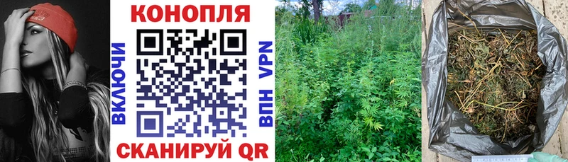 Бошки Шишки планчик  купить   Курчалой 